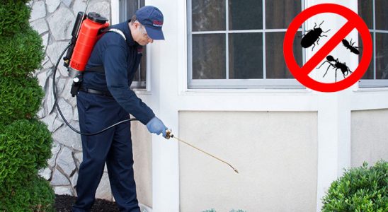 Silivri Hamam Böceği İlaçlama böcek ilaçlama ve haşere kontrolü — ilaclama-tr.com